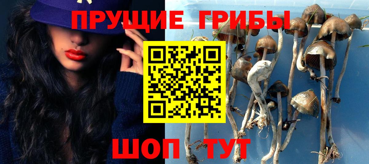Геленджик  Галлюциногенные грибы Cubensis  Псилоцибиновые грибы Cubensis  купить   Вход с VPN 